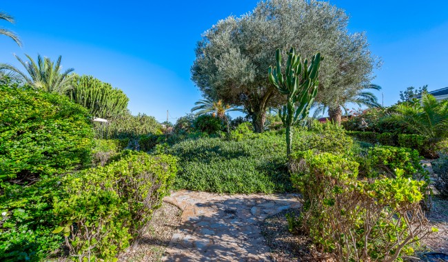 Resale - Finca - Los Montesinos