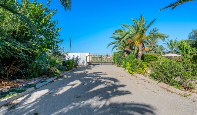 Resale - Finca - Los Montesinos