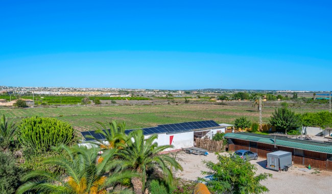 Resale - Finca - Los Montesinos