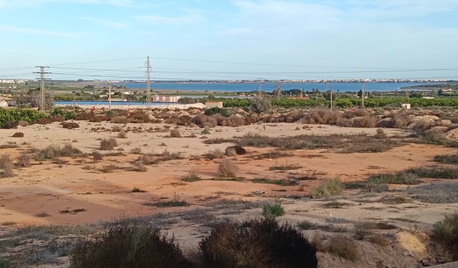 Resale - Villa - Los Montesinos - La Herrada