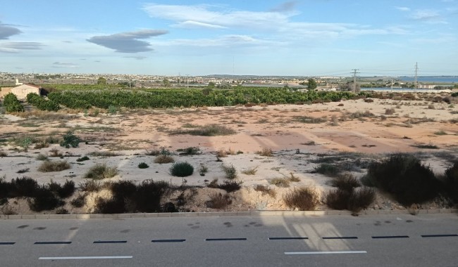 Resale - Villa - Los Montesinos - La Herrada