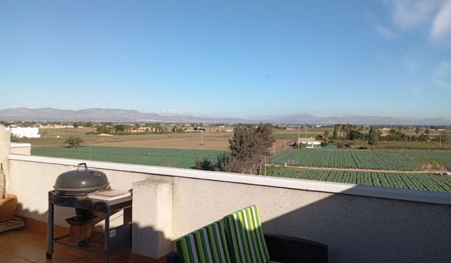 Sprzedaż - Apartament - Daya Vieja