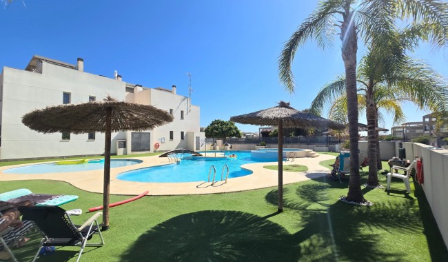 Apartamento - Segunda mano - Torrevieja - Torrevieja