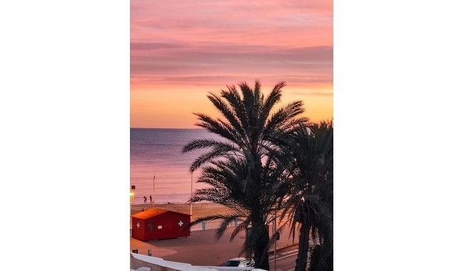 Segunda mano - Apartamento - Torrevieja