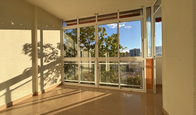 Resale - Apartment - Guardamar - SUP 7