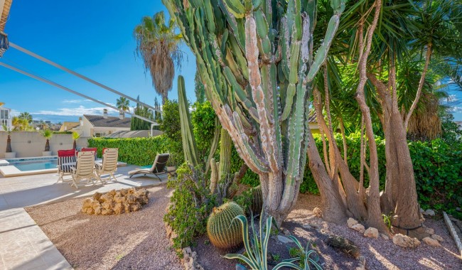 Brukt - Villa - Benijófar - Benimar 1