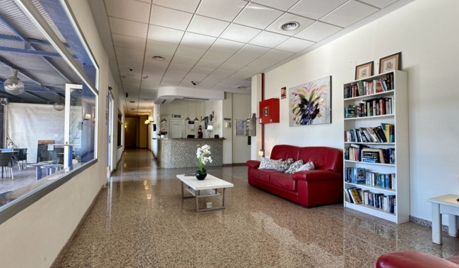 Segunda mano - Apartamento - Orihuela Costa - Cabo Roig