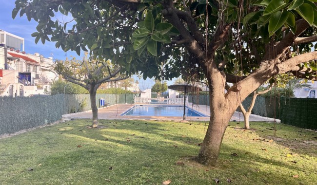 Segunda mano - Apartamento - Torrevieja