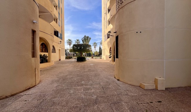 Segunda mano - Apartamento - Torrevieja