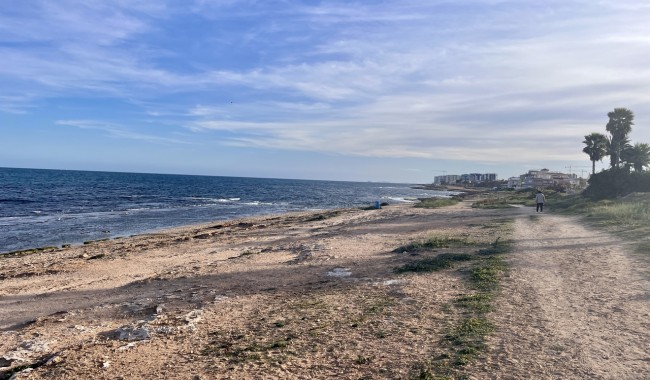 Segunda mano - Apartamento - Torrevieja