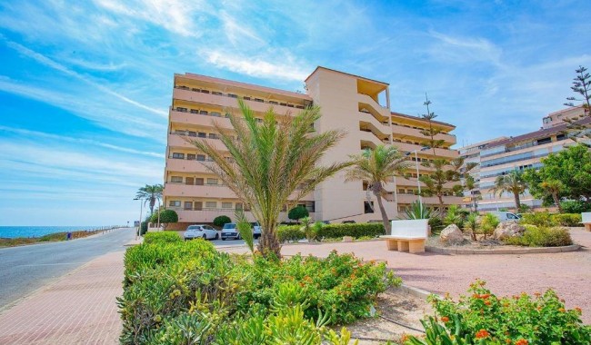 Resale - Apartment - Torrevieja - Cabo cervera