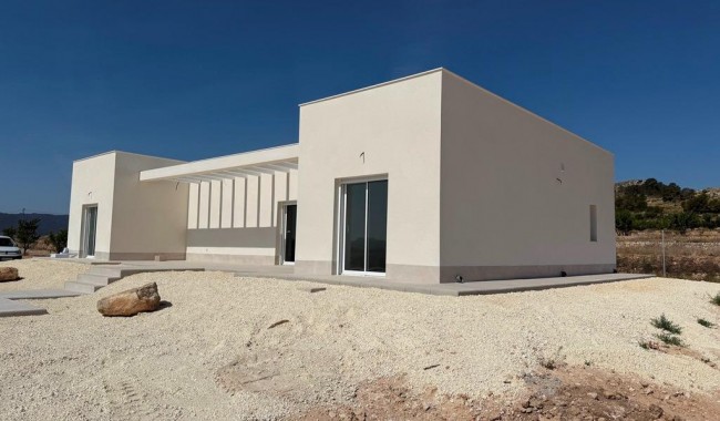 New Build - Villa - Pinoso - Camino Del Prado