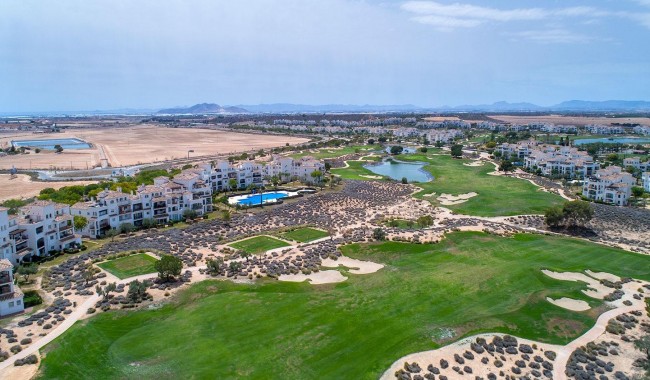 Nowa konstrukcja - Willa - Sucina