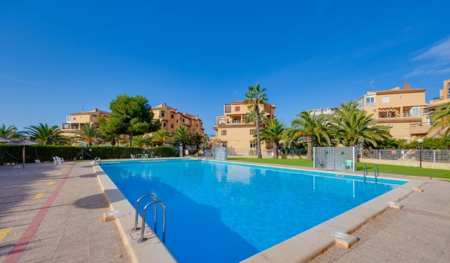 Resale - Estudio - Torrevieja - Torreblanca La Mata