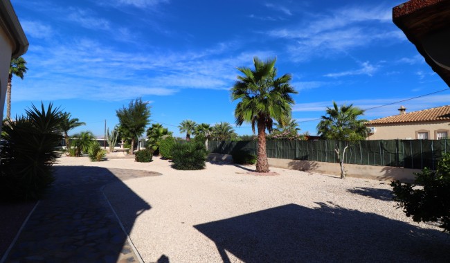 Resale - Finca - Catral - Catral - Country