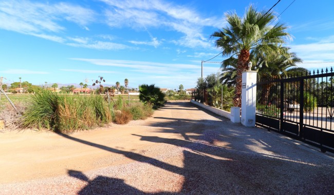 Resale - Finca - Catral - Catral - Country