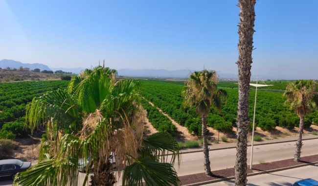 Brukt - Vertikaldelt - Algorfa - La Finca golf