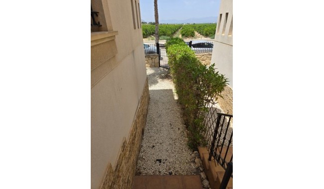 Brukt - Vertikaldelt - Algorfa - La Finca golf