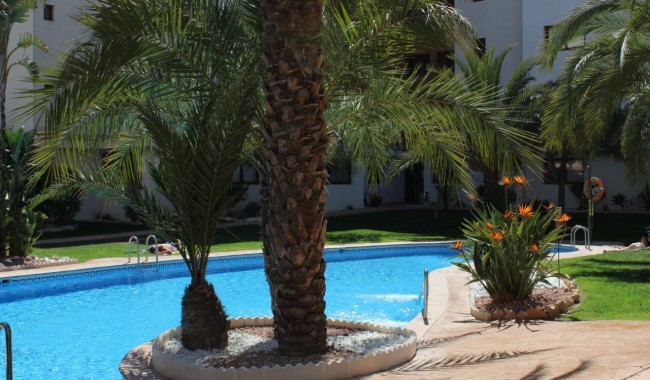 Brukt - Leilighet - Punta Prima - La Entrada