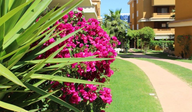 Brukt - Leilighet - Punta Prima - La Entrada