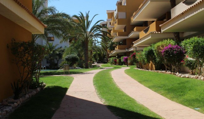 Brukt - Leilighet - Punta Prima - La Entrada