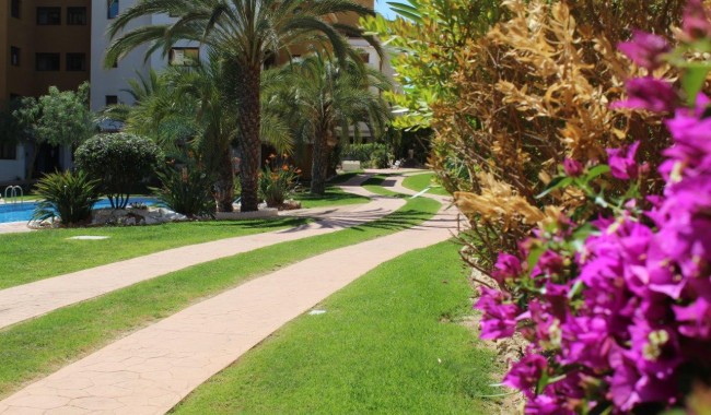 Brukt - Leilighet - Punta Prima - La Entrada