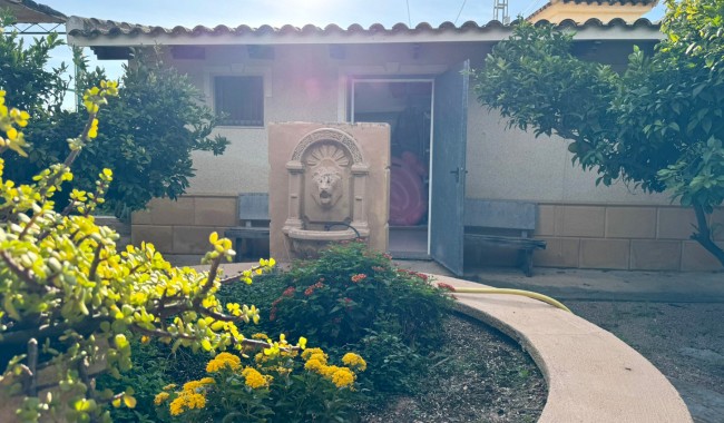 Brukt - Finca - Catral