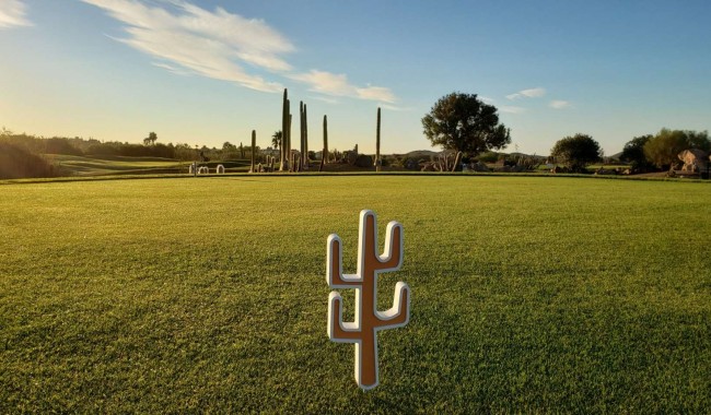 New Build - Villa - Cuevas Del Almanzora - Villaricos