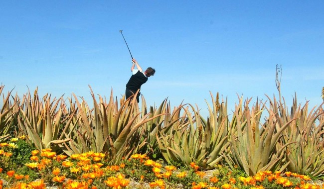 New Build - Villa - Cuevas Del Almanzora - Villaricos