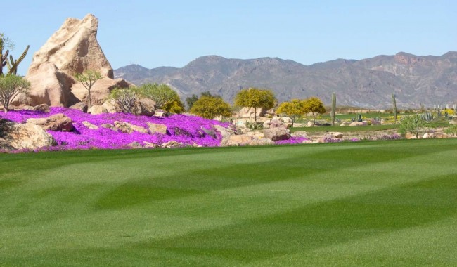 Nueva construcción  - Villa - Cuevas Del Almanzora - Villaricos