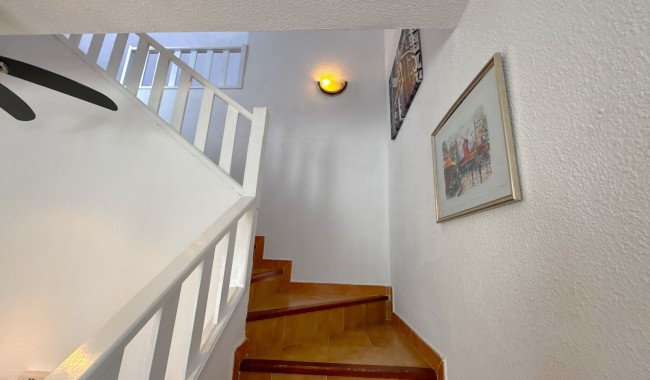 Segunda mano - Adosado - Orihuela - Villamartin