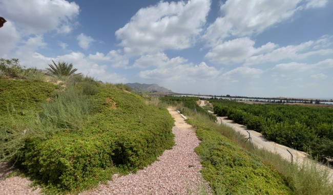 Segunda mano - Finca - Orihuela - Orihuela Costa