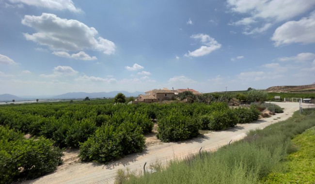 Segunda mano - Finca - Orihuela - Orihuela Costa