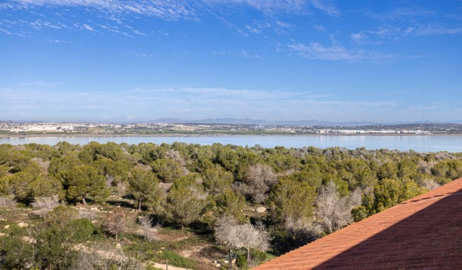 Sprzedaż - Apartament - Torrevieja - Torreta florida