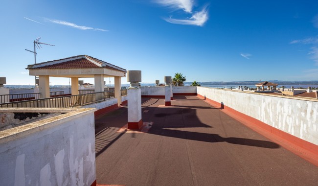 Sprzedaż - Apartament - Torrevieja - Torreta florida