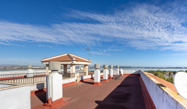 Sprzedaż - Apartament - Torrevieja - Torreta florida