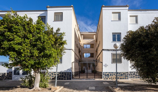 Sprzedaż - Apartament - Torrevieja - Torreta florida