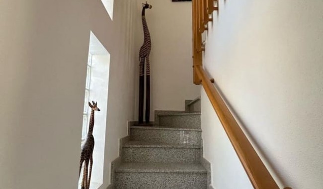 Segunda mano - Semi separado - Orihuela - Villamartín