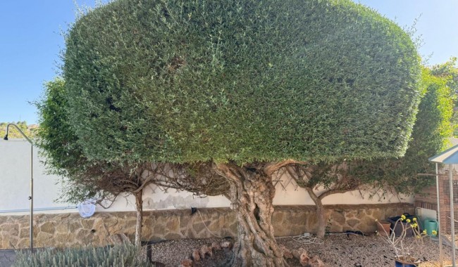 Brukt - Villa - San Miguel de Salinas