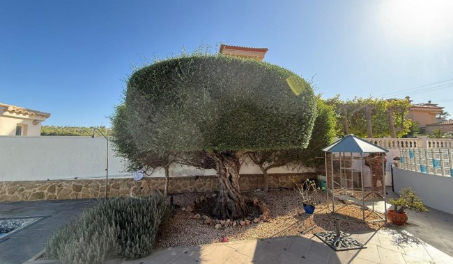 Brukt - Villa - San Miguel de Salinas