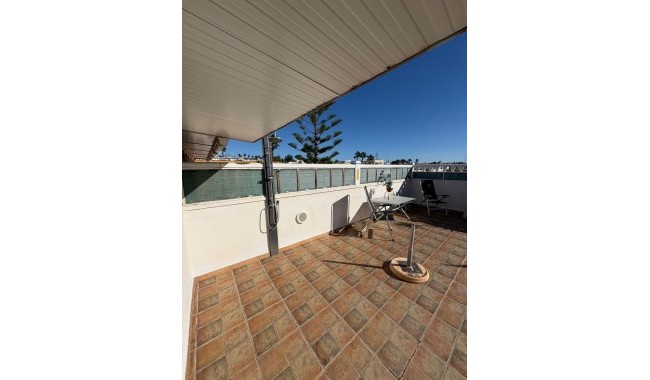 Segunda mano - Semi separado - San Fulgencio