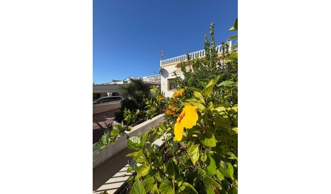 Segunda mano - Semi separado - San Fulgencio