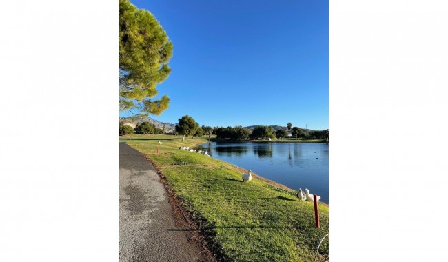 Brukt - Leilighet - Mutxamel - Club De Golf Bonalba