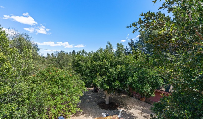 Begagnad - Villa - El Altet - San Francisco de Asis