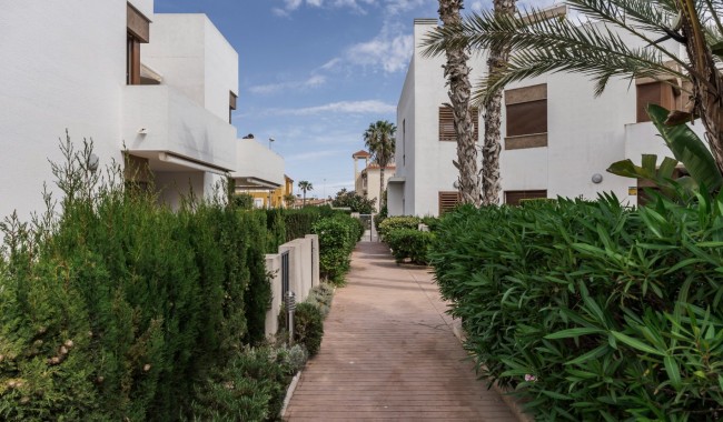 Begagnad - Lägenhet - Orihuela Costa - La Zenia