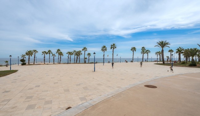 Sprzedaż - Apartament - Orihuela costa - Playa Flamenca
