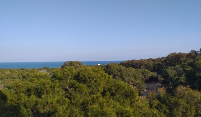 New Build - Apartment - Guardamar - Pueblo