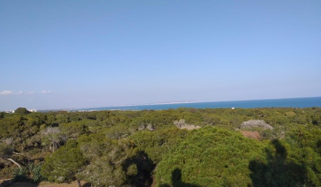 Nybygg - Leilighet - Guardamar - Pueblo