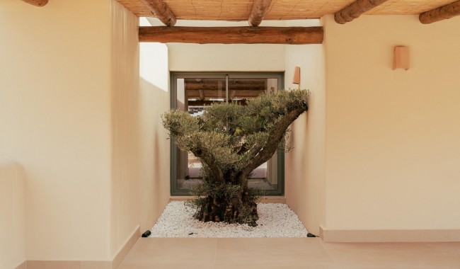 New Build - Villa - Jávea Xàbia - Valle del Sol