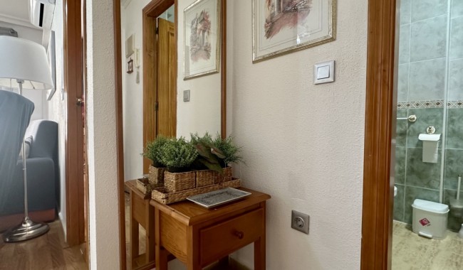 Segunda mano - Apartamento - Torrevieja